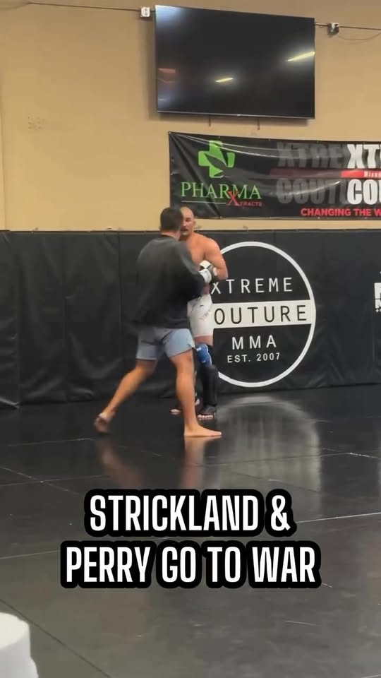 Sean Strickland and Mike Perry go to war 😲👀

Via: Platinum Mike Perry