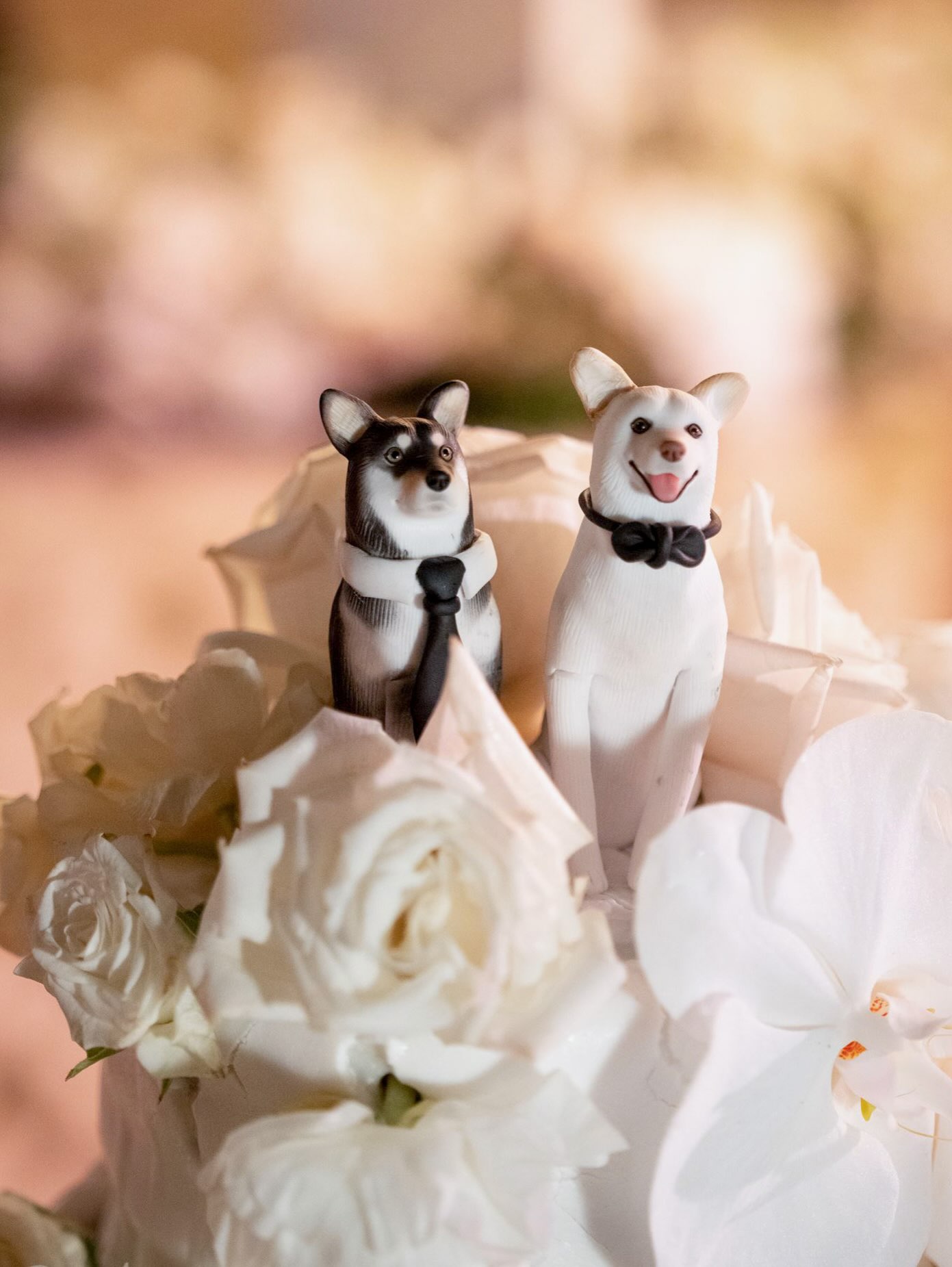 Some more wedding photos 🥰