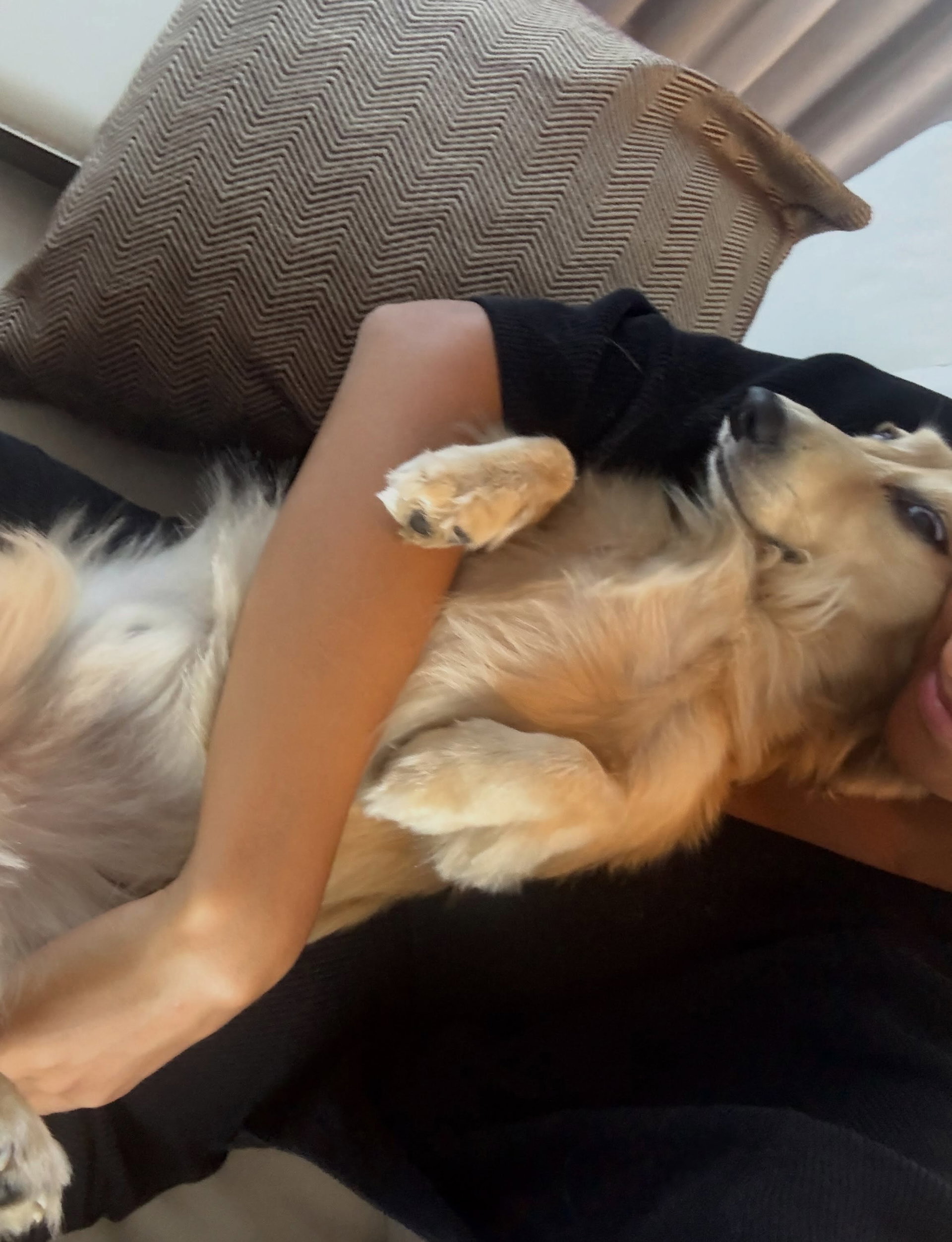 vacations®

beautifulllll pictureeeeee

incredible videoooooo

mum happy i’m happy buttttt

but I lost 🫠

making some serious progress on videoing

this is leo

best evening ever for Leo

leo watching sunset

first holidays as an uncle 🤍🤍🤍

❤️

Romanticccc🥰❤️🤍

that wasn’t a pause

the boy of my life

look at him

cadeau, follow him @norman_nato

wowwww so strong

LA CHICORÉE DE PASCALE 🚀🚀

mummy cuddles

enjoying the view