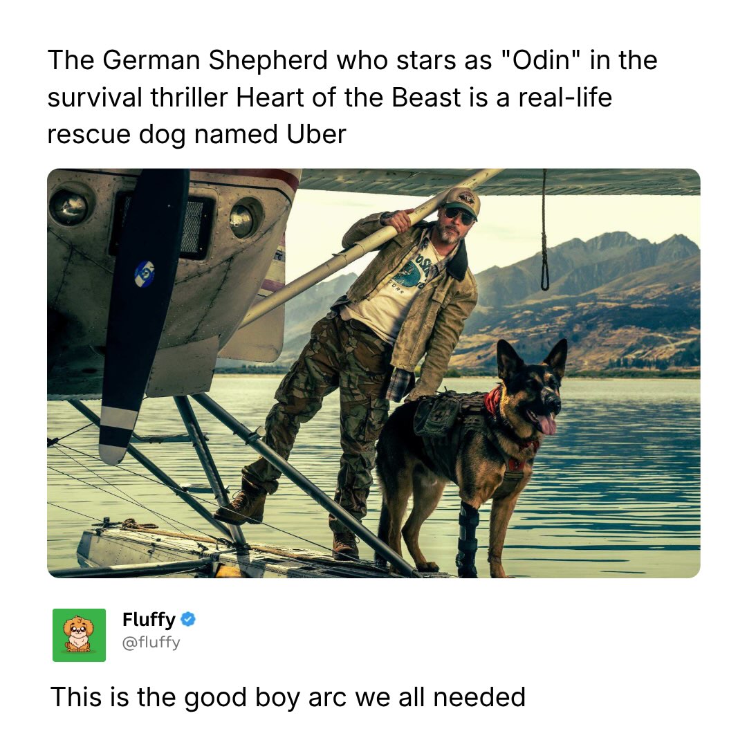 Get ready to see this year’s rising movie star!

Heart of the Beast is out September 25th, and the real scene-stealer isn’t the guy fighting to survive the wild, it’s Odin, the German Shepherd right there with him for the whole film. 

Odin is played by a rescue dog named Uber! He trained for the role and held his own in every scene, same as any other costar on the call sheet.

Spoiler Alert: The dog lives!

If you’ve got a dog who acts like he’s the one actually keeping you alive out there, wait till you see this one.

#HeartOfTheBeast #ParamountPartner