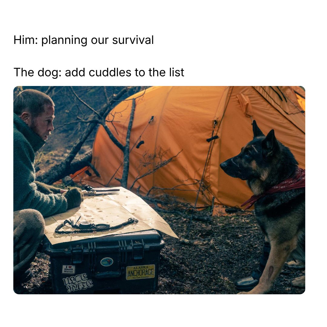 Get ready to see this year’s rising movie star!

Heart of the Beast is out September 25th, and the real scene-stealer isn’t the guy fighting to survive the wild, it’s Odin, the German Shepherd right there with him for the whole film. 

Odin is played by a rescue dog named Uber! He trained for the role and held his own in every scene, same as any other costar on the call sheet.

Spoiler Alert: The dog lives!

If you’ve got a dog who acts like he’s the one actually keeping you alive out there, wait till you see this one.

#HeartOfTheBeast #ParamountPartner
