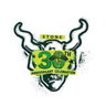 stonebrewing