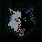 timberwolves