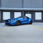 blues550yote