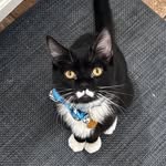 mr.selleck