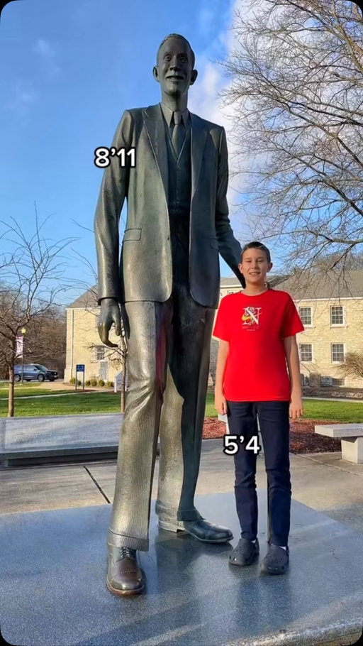 THROWBACK: Standing next to the tallest man in the world #tall
