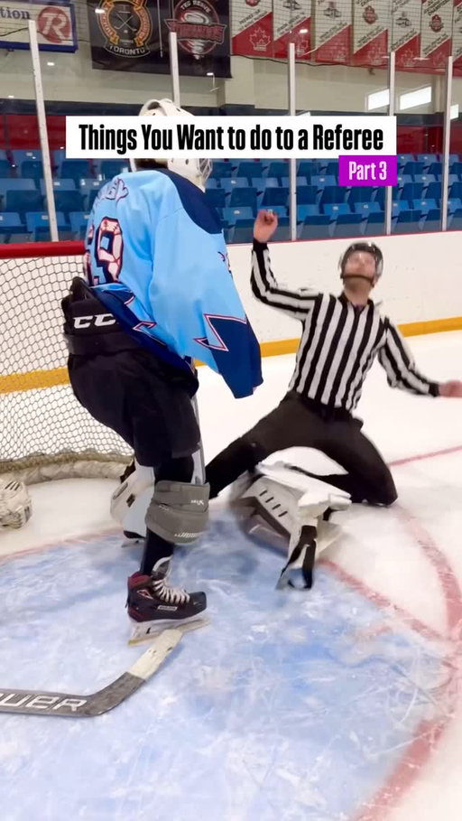 Things You Want to do to a Referee | Part 3 #hockey #pavelbarber
