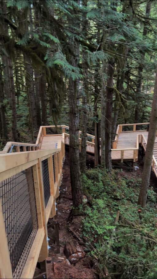 What do you think? 🌲👀 #squamishcanyon #vancouver #squamish