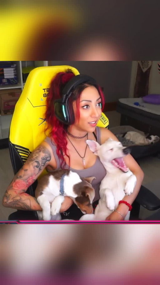 It’s Zen’s 1st Birthday today! 🎂🎉🐶🎁🎈
Here’s a compilation video the community made ❤️

Today he had doggy bday cake, a whole dpggy bday party with the other pups, and he went on a steam train ride and lived it! Posting more soon on @goodboyy.puppies ❤️🥰 

#puppybirthday #jackrussellpuppy #dogbirthdayparty #funnydogvideos #happypup