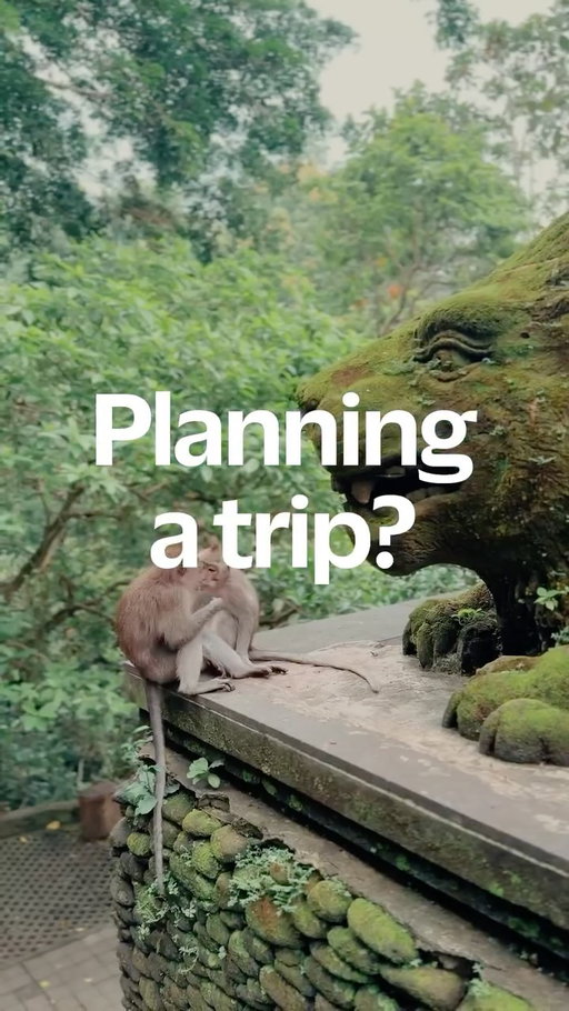 Lush, green, and wide open.
Bali is all flow and no stress.

Book through Concrete Playground Trips and pay with Visa to get 10% off.

Link in bio.