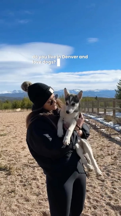 Denver dog lovers — want to make money hanging out with pups? 🐾 #yourgipartner 

Yourgi Pro (@yourgipet) is launching this November, and they’re looking for sitters + daycare providers to join their local pet care community!

✨ Perks —
• Set your own availability and rates
• All-in-one platform — no app-jumping
• Yourgi handles support and payments
• Get matched with nearby pet parents
• Be part of a growing local pet care community
• And the best part? ➡️ Yourgi Pro takes a smaller cut than other platforms, so you keep more of what you earn

🐶 Sign up to get a waived background check fee (see Iink in bio!)

#colorado #denver
