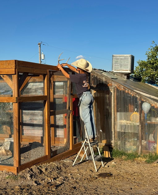 first summer in my own home and i’m clinging on to every bit of life and warmth. it’s pretty special here

.

.

.

#montana #homestead #chickens #cows #horses #cowpoke #western #westernlifestyle #diy #handmade #homesteading #summer #bigsky