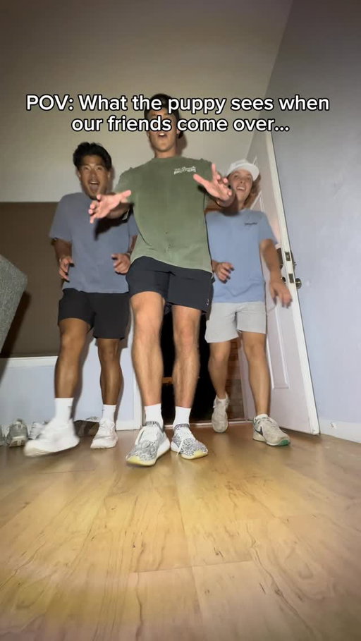 He gets all the attention🤣
.
.
.
 #theboys #viral #reels #puppy #aot