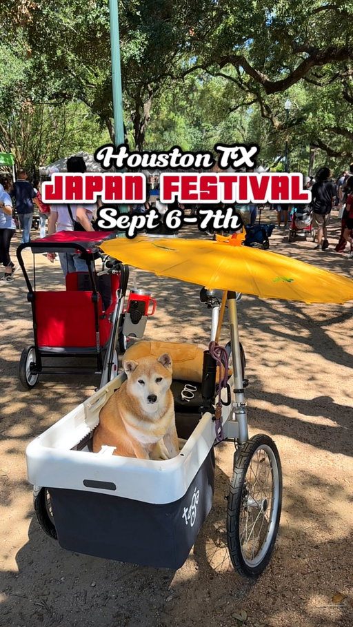 🇯🇵 JAPAN FEST (FREE ENTRY): SEPT 6-7! 🇯🇵 Houston’s longest running Japanese festival will be at the Hermann Park Reflection Pool again this year! We loved this location last year, underneath the oak trees ☺️🌳 There will be all kinds of food vendors, entertainment, kids activities — and you can even sign up for a tea ceremony 🍵 or Japanese flower arranging (ikebana) 🌺 We had a great time and ate so much last time, we can’t wait!!

✨ Festival organized by @japanamericahouston ✨ 

#houston #japanfest #japanfestival #japanesefestival #houstonevents #houstontexas #japanesefood #thingstodoinhouston #hermannpark #houstonmoms