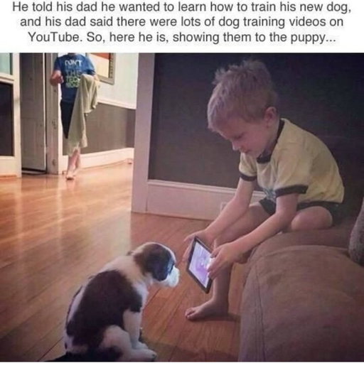 Love how invested the dog is in this video 😂💙💛
(via: @teamk9 )