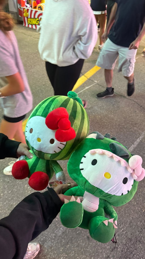 ANNUAL CNE VLOG 🎡 I think the ex is my favourite Toronto activity n I will be back for more hello kitty prizes