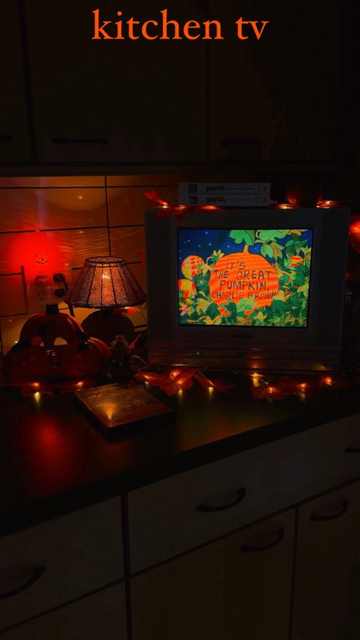 You guys…I fell victim to the kitchen CRT TV propaganda. 🤪📺 (and I have NO REGRETS!)

I started getting videos talking about collecting physical media as well as switching back to less “smart” tech and looooved it! Over the last few years, I switched back to a radio alarm clock, started collecting more DVDs, and have been trying to be more thoughtful of my screen time as well (even creating a “focus mode” on my phone that only allows calls & texts that I call “landline mode”)! But then I started seeing people share about having kitchen TVs again and I instantly fell in love and started my search!

These CRT TVs with the built in DVD players (or even VCRs) go for insane amounts now that they’re “vintage”, but I lucked out and found this one for $40 on FB marketplace and snatched it up so fast! I had to drive 45 minutes for it but it was 100% worth it. I got it set up yesterday and tested it with It’s the Great Pumpkin Charlie Brown and y’all…the VIBES! It literally made me squeal and almost tear up. 😂🥹🧡🎃✨ Next up, I want to find one of the under-cabinet radio/CD players! 

Did you have a kitchen TV growing up?! 📺

#cozyvibes #cozyhome #cozyliving #cozyathome #cozyhomedecor #fallvibes🍁 #autumnvibes🍁 #fallaesthetic #crttv #vintagehome #vintagevibes #vintagetv #vintagefinds #kitchentv #fallismyfavorite #falliscoming #greatpumpkin #charliebrown #dvd #dvdcollector #physicalmedia #vintagestyle #retrohomedecor #autumniscoming #autumnalvibes #early2000saesthetic #early2000s