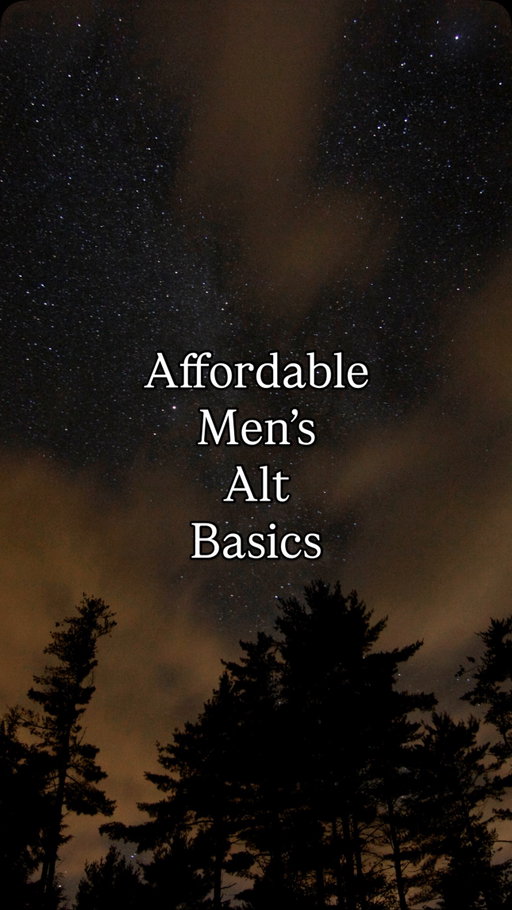 Alternative men’s style doesn’t have to break the bank 🖤 Everything here is under $25 from @oldnavy . It’s less about the clothes themselves, though, and more about how you style them. Let me know if you want a part 2!

Some of my favorite alternative men’s style content creators are @villainbyvin @404boyfriend 
.
.
.
.
.
.
.
.
.
.
.
.
#AltStyle #MensAltFashion #AlternativeStyle #GrungeStyle #AltFashionMen #AlternativeFashion #MensStyle #AltOutfit #AffordableFashion #altfashion #AltWardrobe #mensalternativefashion 

men’s alternative fashion guide, affordable alt men’s outfits, old navy alt fashion finds, grunge outfit ideas for men, alt style tips under $25, alternative men’s clothing inspiration, alternative style basics for men