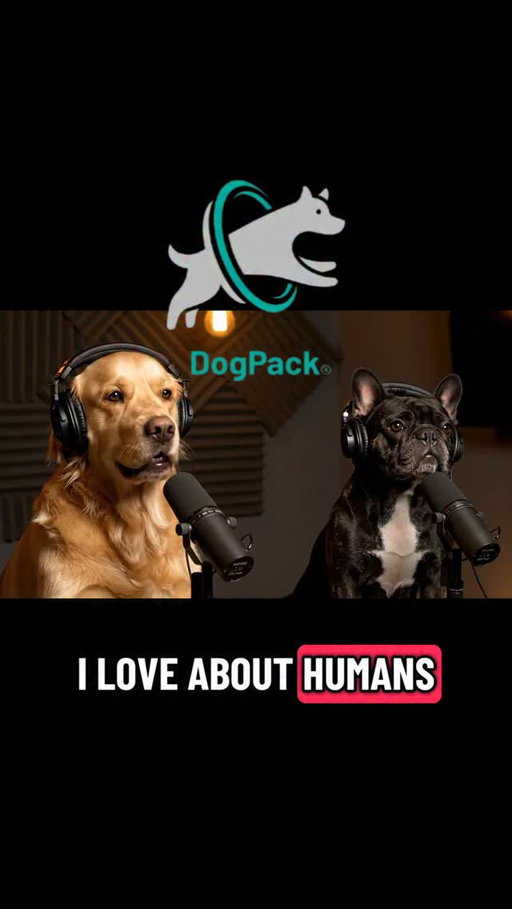 If you needed a reminder that your dog loves you, this is it 🥰🐾🐶🥹