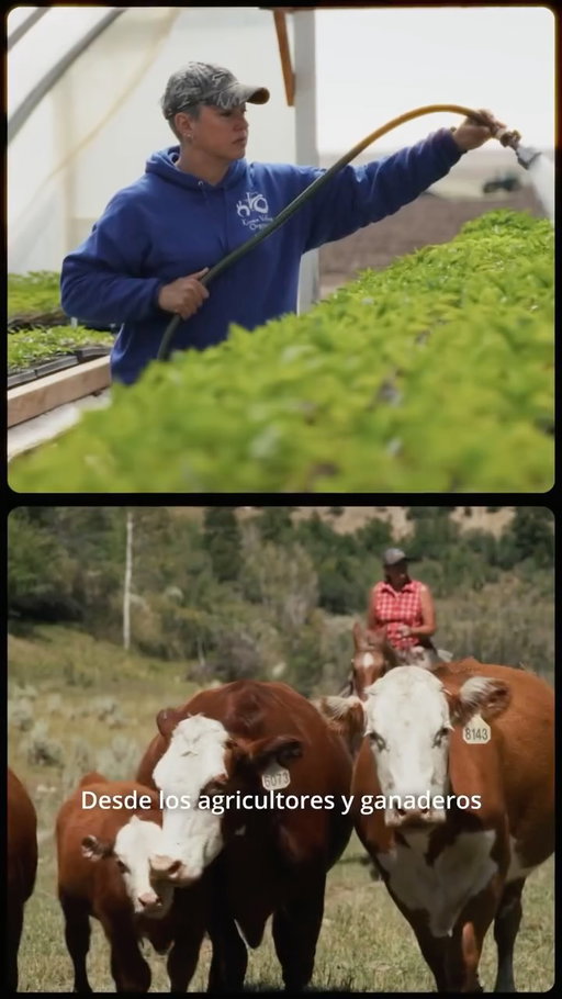 Colorado Proud exists to help you connect with and support local businesses, farms, and ranches. ❤️

Check out the 🔗 in bio to learn more