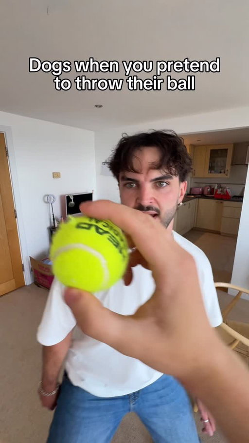my owner is a magician