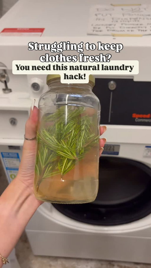 Proof that clean can be green. 🧺

A natural way to refresh, deodorize and even soften your clothes, combining rosemary and vinegar is a time tested hack that makes laundry day smell like nature. 

Send this to a friend who loves natural home hacks, then grow your own endless of fresh herbs, florals, fruits and veggies at at BacktotheRoots.com. 

#organichousehold #chemicalfree #organichomes #organictips #naturalhomes #naturaltips #rosemaryhack #laundrytip #laundryhack #nochemicalhomes #nochemicals