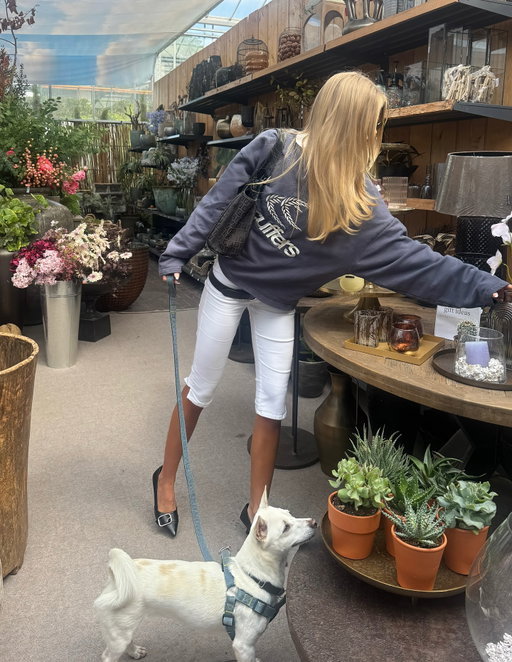 wk of a fashion-holic dog mom (1 year of adopting my rescue baby today 🐾 <3 )