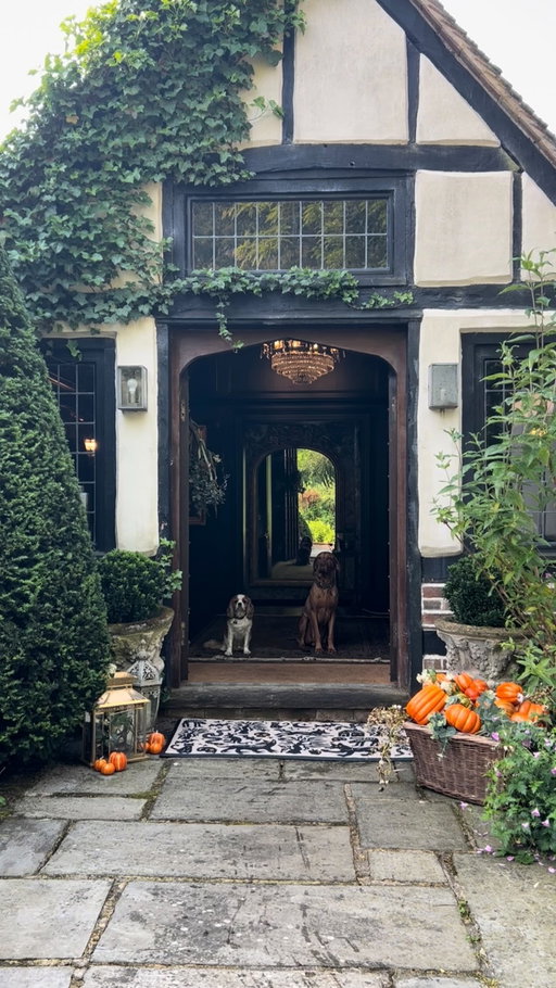 Channel your inner Owens sister — the season of spells starts at home. 🍂🖤🪄@agathas.uk 

Rug featured: Nocturnal Creatures Doormat