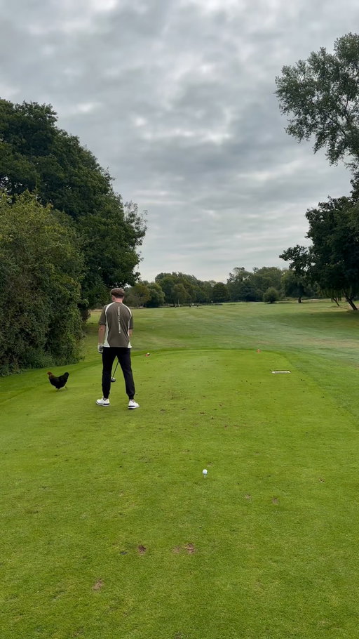 you don’t see that every day…

#golfdigest #golfersofinstagram #golfinstruction #golftime #golfpractice #golfcart #instagolfer #golferslife #golfball #golfgods #golflessons #golfinglife #golfcourses #pgatour #masters #golflifestyle #progolf #badgolf #holeinone #golfer #golfswing #golfing #quoteoftheday #golfgti #golfpro #golfaddict #golfcoach