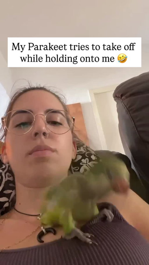 An unexpected and energetic moment: Tikki, my restless parakeet, flaps her wings nonstop right above me. Recorded at home on a hot summer day. This scene blends tenderness, humor, and a unique touch that makes it irresistible—plus, it doubles as a homemade remedy for the heat, thanks to the cool breeze her wings create 😂

Like this content? Follow @Fluffy 🐾

(🎥: @Tikkipollo via ViralHog)