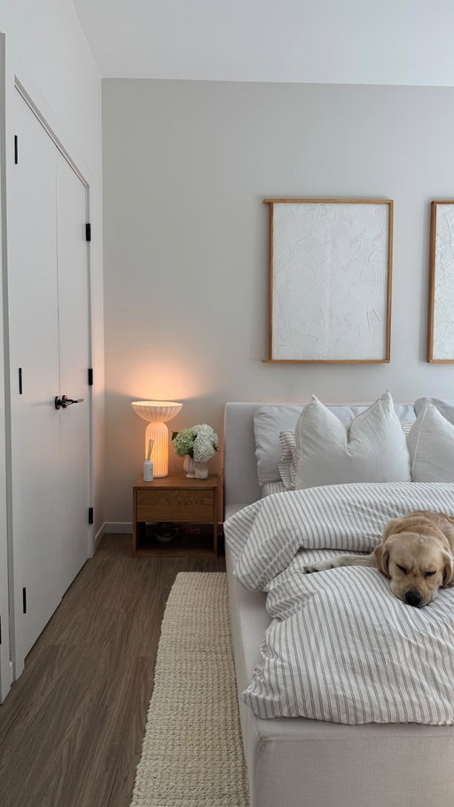 spend the morning with meeee 💗 #boston #diml #morningroutine #goldenretrieverpuppy #timestamped