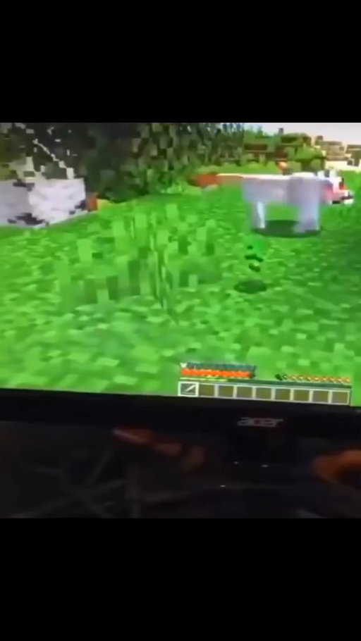 the dog didnt deserve that😣 #minecraft #mc #minecraftfunny #minecraftfyp #minecraftmemes #viral #dog #gaming #fyp #fypシ
