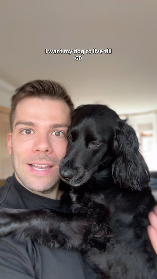 Happy National Dog Day to all dogs everywhere!!!! Reposting this as a Public Service Announcement on the behalf of all dogs and dog owners! 🙏🏼❤️🐶 #dogs #dogsofinstagram