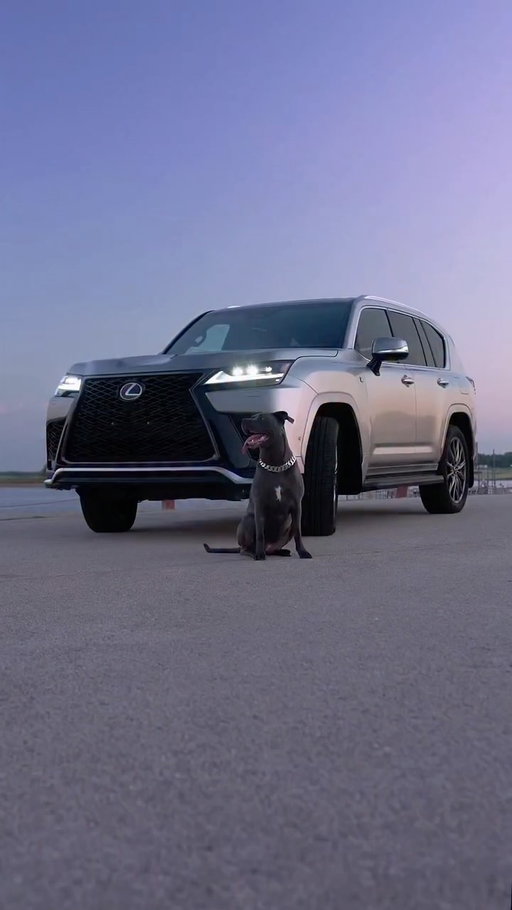 Big dog. Big ride. Big energy. 🐾 #WorldDogDay
#InternationalDogDay #LexusLX 700H #Lexus #ExperienceAmazing