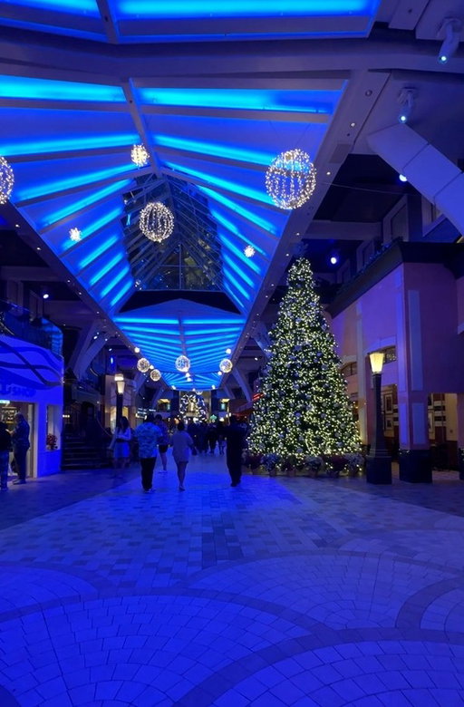Too early to decorate? Definitely. Too early to plan your family holiday cruise? Never.⁣
⁣
Tap the link 🔗 in bio to get in on the season of bigger and bolder holidays.