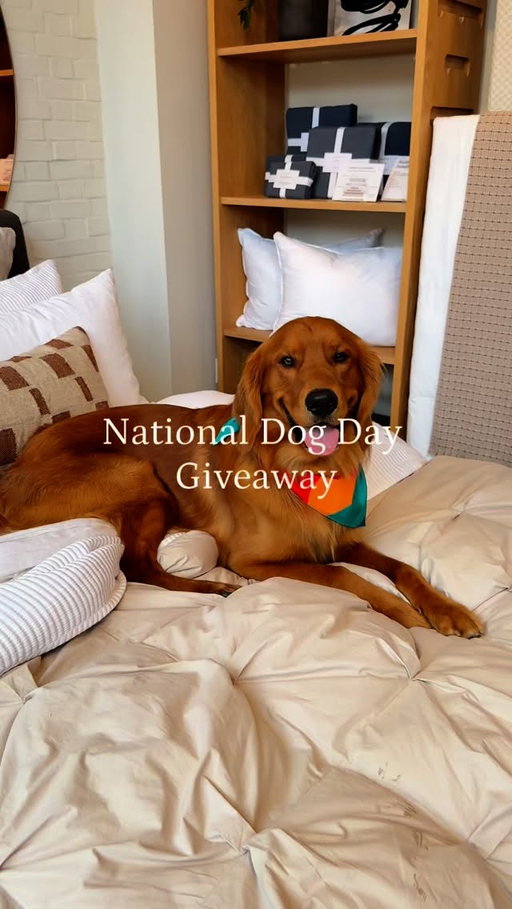 CLOSED | We’re celebrating 🐶National Dog Day🐶 with a special giveaway for you and your furry friends!

Enter for a chance to win:
☁️$250 from Parachute
🐾Dog bed and walking kit from Approved by Fritz
🦴One month of food + treats from Kismet
✨Trio of candles from P.F. Candle Co
🌭$50 gift card and beach towel from Hot Dog on a Stick

How to enter:
1. Follow @parachutehome @approvedbtfritz.shop @kismet @pfcandleco @hotdogonastick 
2. Like this post
3. Tag a friend in the comments and share your favorite way to spend time with your pup!

This giveaway ends at 11:59 PM PST on Sunday, August 31st. 

One winner will be selected at random and notified on September 2nd via DM from @parachutehome - if you received a DM from any other account, it is not affiliated with us. No purchase necessary. You must be 18+ and a resident of US or Canada.