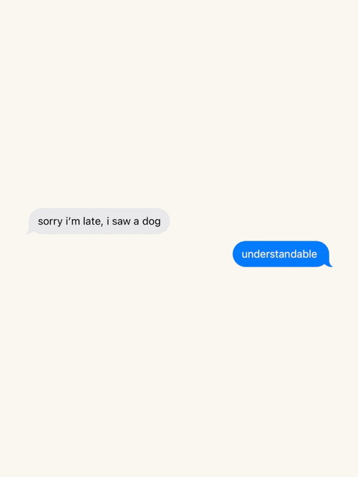 The only valid excuse for being late 🤭
Happy International Dog Day 🤍