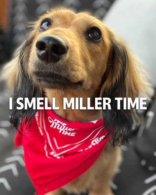 They heard the cooler crack before you did.

📸 @theconeydogg / @miller.thegolden_ / @shih_so_lily