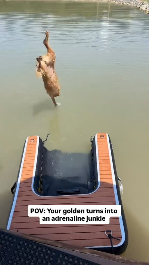 Perfect form🥇👏 @wynn_thegolden