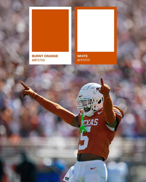 The colors of the SEC 🎨 

#CollegeFootball #SECFootball #CFB #SEC