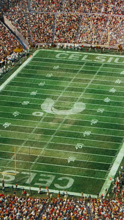 This is more than just four quarters. It’s every tailgate, every chant, every moment. It’s fuel that goes beyond the field. THIS IS CELSIUS! #LiveFitGo