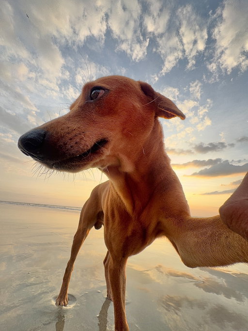 Strike a pose. #ShotoniPhone by

1.Dominic G. @sachin.xavier

2. Akbar M. @akbar_mehrinezhad