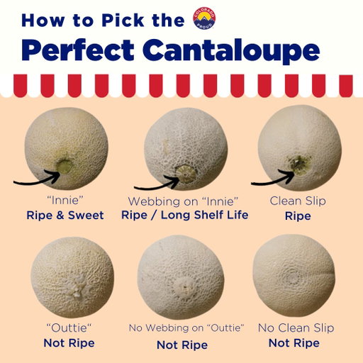 We're in the peak of cantaloupe season in Colorado! 🍈 To pick the perfect melon, look for a sweet fragrance, a slightly soft blossom end, and a rind that’s golden and netted. Enjoy the peak-season sweetness through the end of September!
