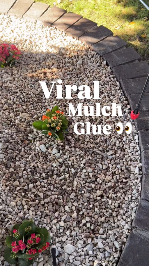 Comment “MULCH GLUE” and I’ll send you a 🔗 to grab some before it’s too cold to use! ✨make sure you’re following me so the message can go through!✨

This is non-toxic, safe for kids, plants, and pets and water permeable! 🙌 and so so satisfying to apply and have locked in place 😌 #BDCpartner #landscaping #mulchglue #stoneglue #landscapeideas @bdcbrands @dominator_results