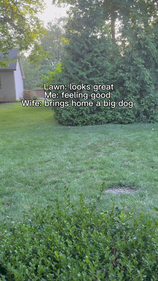 Good thing there’s extra seed in the garage.