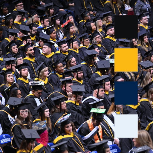 Whether you're on @snhuoncampus or online, these are the colors that connect us 💙💛 #collegecolorsday