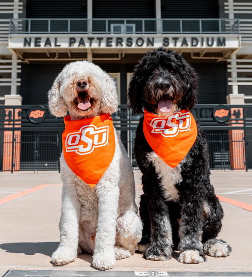 𝗣𝗮𝘄𝘀 𝗮𝘁 𝘁𝗵𝗲 𝗣𝗮𝘁𝘁𝗲𝗿𝘀𝗼𝗻 🐾
𝗦𝘂𝗻𝗱𝗮𝘆 𝗮𝘁 𝗻𝗼𝗼𝗻 𝗮𝘁 𝗡𝗣𝗦
𝗖𝗼𝘄𝗴𝗶𝗿𝗹𝘀 𝘃𝘀. 𝗠𝗶𝘀𝘀𝗶𝘀𝘀𝗶𝗽𝗽𝗶 𝗦𝘁𝗮𝘁𝗲

• Dogs welcome in north seating section 
• Dog bandana giveaway
• Free hot dogs pregame (starts at 11:30)
• Halftime dog race 

#GoPokes