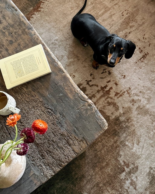 Coffee, a good chapter, and our Head of Crumbs & Comfort on patrol.

Photo by @chelseamacc featuring our Jorda Bronze Natural Rug by Architectural Digest.