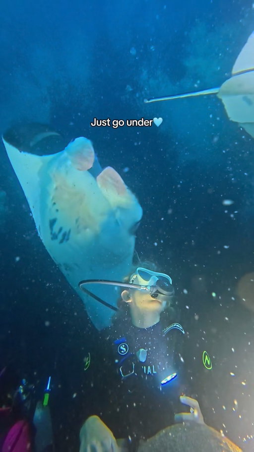 Follow for more ocean adventures! 🤿Nighttime is the BEST time to dive! Everything comes ALIVE after dark 😮🌌

This was a Manta Ray night dive in Hawaii. I have a full video about the experience plus how you can do this yourself (snorkeling or scuba diving). It is a BUCKETLIST experience. You have to do it at least once in your life!

#nightdive #scubadive #mantaray #hawaii #hawaiilife
