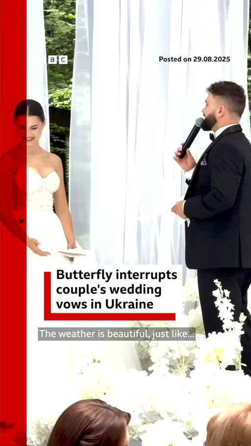An uninvited guest interrupted this wedding ceremony in Ukraine. 🦋
 
Footage captured the moment a butterfly joined Yelyzaveta Subachova and Mykola Subachov as they got married in Khmelnytskyi.
 
Tap the link in @BBCNews’s bio for the latest news in Ukraine.
 
#Butterfly #Wedding #BBCNews